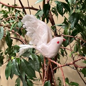 Elegant White 10 pcs Bird Decoration